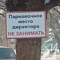 Дупло директора не займати! Дупло директора не займати!