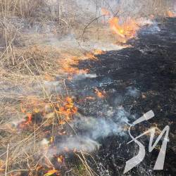 Палії приїздять аж зі столиці, щоб влаштовувати пожежі трави на Чернігівщині Палії приїздять аж зі столиці, щоб влаштовувати пожежі трави на Чернігівщині