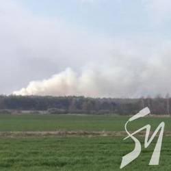 Лісівники розглядають пожежі з безпілотника Лісівники розглядають пожежі з безпілотника