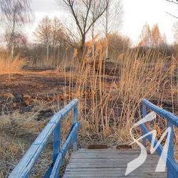 Поліція так і не встановила, хто підпалив очерет на менському озері Поліція так і не встановила, хто підпалив очерет на менському озері