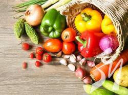 Где купить качественные семена овощных культур? Где купить качественные семена овощных культур?