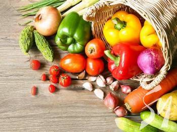 Где купить качественные семена овощных культур? Где купить качественные семена овощных культур?