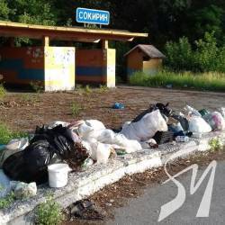 Чисто там, де не смітять! – це явно не про дороги України Чисто там, де не смітять! – це явно не про дороги України