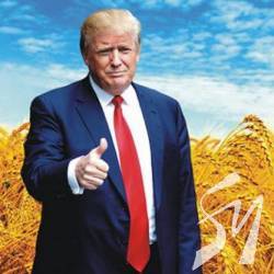 Дідусь Трамп знову йде в президенти Дідусь Трамп знову йде в президенти