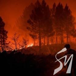 У Португалії вирують пожежі: десятки постраждалих У Португалії вирують пожежі: десятки постраждалих