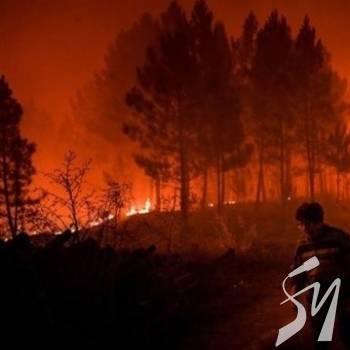 У Португалії вирують пожежі: десятки постраждалих У Португалії вирують пожежі: десятки постраждалих
