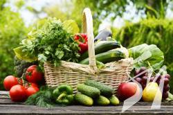Виробники органічної продукції з Чернігівщини отримають фінансову допомогу Виробники органічної продукції з Чернігівщини отримають фінансову допомогу