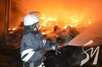 На Чернігівщині у пожежі загинуло двоє чоловіків На Чернігівщині у пожежі загинуло двоє чоловіків