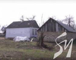    2 :    5-   