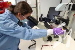    COVID-19   9410 , 239  - 