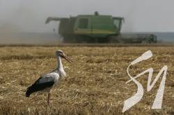 В Україні з 10 червня запустять онлайн-реєстрацію земельних ділянок В Україні з 10 червня запустять онлайн-реєстрацію земельних ділянок