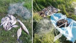 На Менщині викрито браконьєрів з 16 кг незаконно добутих водних біоресурсів На Менщині викрито браконьєрів з 16 кг незаконно добутих водних біоресурсів