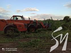 На Бахмаччині поліцейські знищили понад тисячу кущів дикорослих конопель На Бахмаччині поліцейські знищили понад тисячу кущів дикорослих конопель
