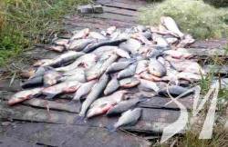 Чернігівським рибоохоронним патрулем на Пакульському водосховищі викрито браконьєрів Чернігівським рибоохоронним патрулем на Пакульському водосховищі викрито браконьєрів