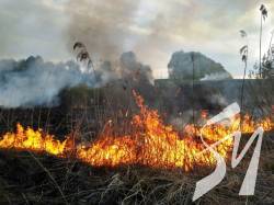 За добу на Чернігівщині рятувальники ліквідували 14 пожеж у природних екологічних системах За добу на Чернігівщині рятувальники ліквідували 14 пожеж у природних екологічних системах