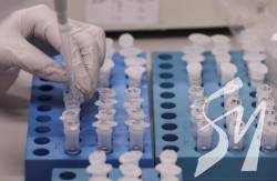 :       쳿 COVID-19  