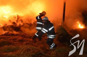100-річна жителька Прилук загинула під час пожежі у власній квартирі 100-річна жителька Прилук загинула під час пожежі у власній квартирі