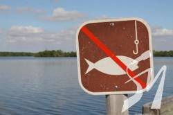 На Чернігівщині забороняється вилов водних біоресурсів у зимувальних ямах На Чернігівщині забороняється вилов водних біоресурсів у зимувальних ямах