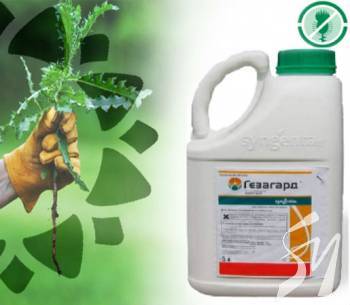 Самые эффективные биопрепараты для растений в Украине – агромагазин «Agrolavka.com.ua» Самые эффективные биопрепараты для растений в Украине – агромагазин «Agrolavka.com.ua»