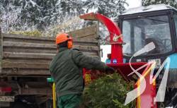 Ще раз про утилізацію новорічних ялинок Ще раз про утилізацію новорічних ялинок
