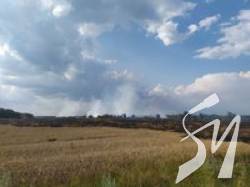 У Чернігівській області рятувальники локалізували пожежу на пшеничному полі У Чернігівській області рятувальники локалізували пожежу на пшеничному полі