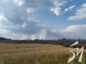 У Чернігівській області рятувальники локалізували пожежу на пшеничному полі У Чернігівській області рятувальники локалізували пожежу на пшеничному полі