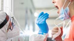 16 943   COVID-19, 628   