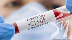  COVID-19  :    343 , 11-