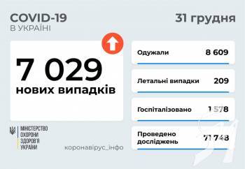 7 029   COVID-19      31  