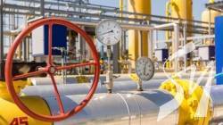 ³ 7,799  11,99   :      2022