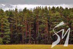 Ланшафтний заказник площею 92 га., створено на Чернігівщині Ланшафтний заказник площею 92 га., створено на Чернігівщині