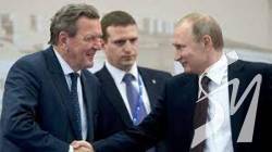 Шредер зустрівся з Путіним, полетів на прохання України - ЗМІ Шредер зустрівся з Путіним, полетів на прохання України - ЗМІ