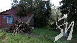 Розпилюють повалені дерева, лагодять стовпи: на Новгород-Сіверщині прибирають наслідки негоди