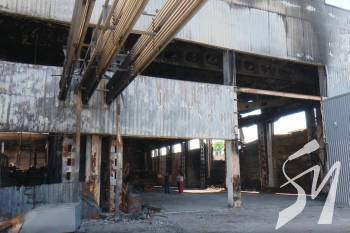  3100     24        60%