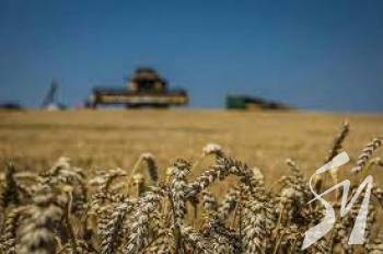 Через війну українські аграрії втратили $4,3 млрд — дослідження Через війну українські аграрії втратили $4,3 млрд — дослідження