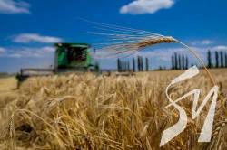 Жнива на Чернігівщині: намолочено майже 525 тис. тонн зерна та понад 107 тис. тонн ріпаку