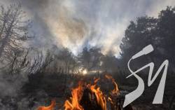 На Сумщині через обстріли росіян виникла лісова пожежа На Сумщині через обстріли росіян виникла лісова пожежа