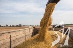 Експорт українських товарів у серпні збільшився на 25% Експорт українських товарів у серпні збільшився на 25%