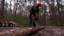 Виріс попит та черги на дрова: як на Чернігівщині люди готуються до холодів