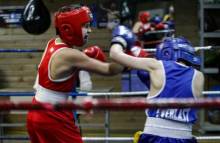 У Чернігові відбувся чемпіонат області з боксу У Чернігові відбувся чемпіонат області з боксу
