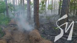 Лісову пожежу в прикордонні Чернігівщини, яку спричинили російські обстріли, загасили Лісову пожежу в прикордонні Чернігівщини, яку спричинили російські обстріли, загасили