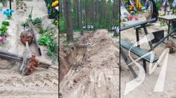 Кладовище в мікрорайоні Забарівка у Чернігові: в чому суть конфлікту