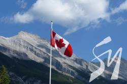   $24   ̳     Reuters