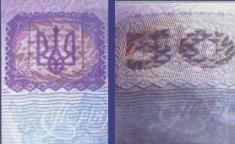 50 