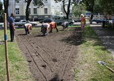  31  2011 .                  2011-2015 ,   . ϳ     .           ,     ,     .   ,     .