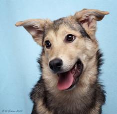 - ,    ,       .        .